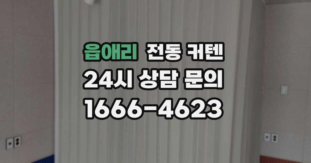 읍애리 전동 커텐