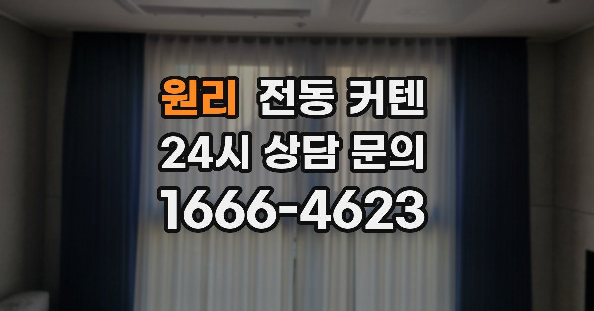 원리 전동 커텐