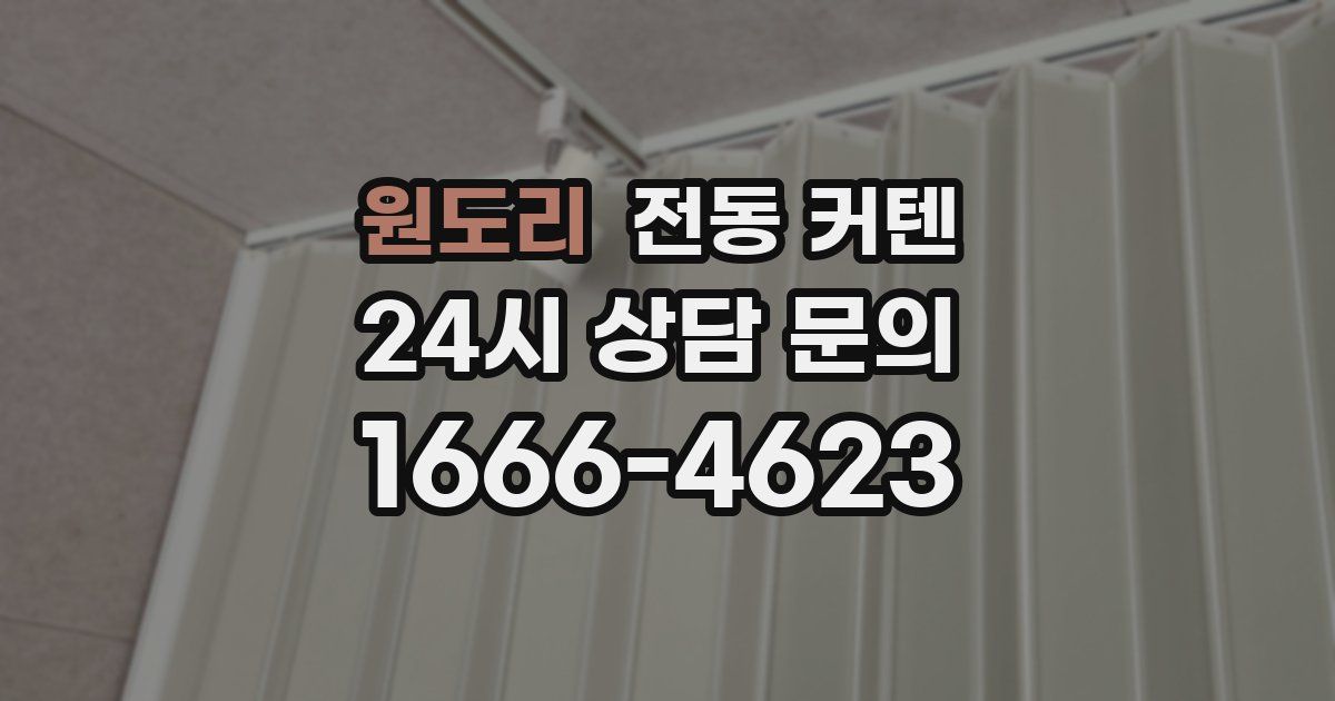 원도리 전동 커텐
