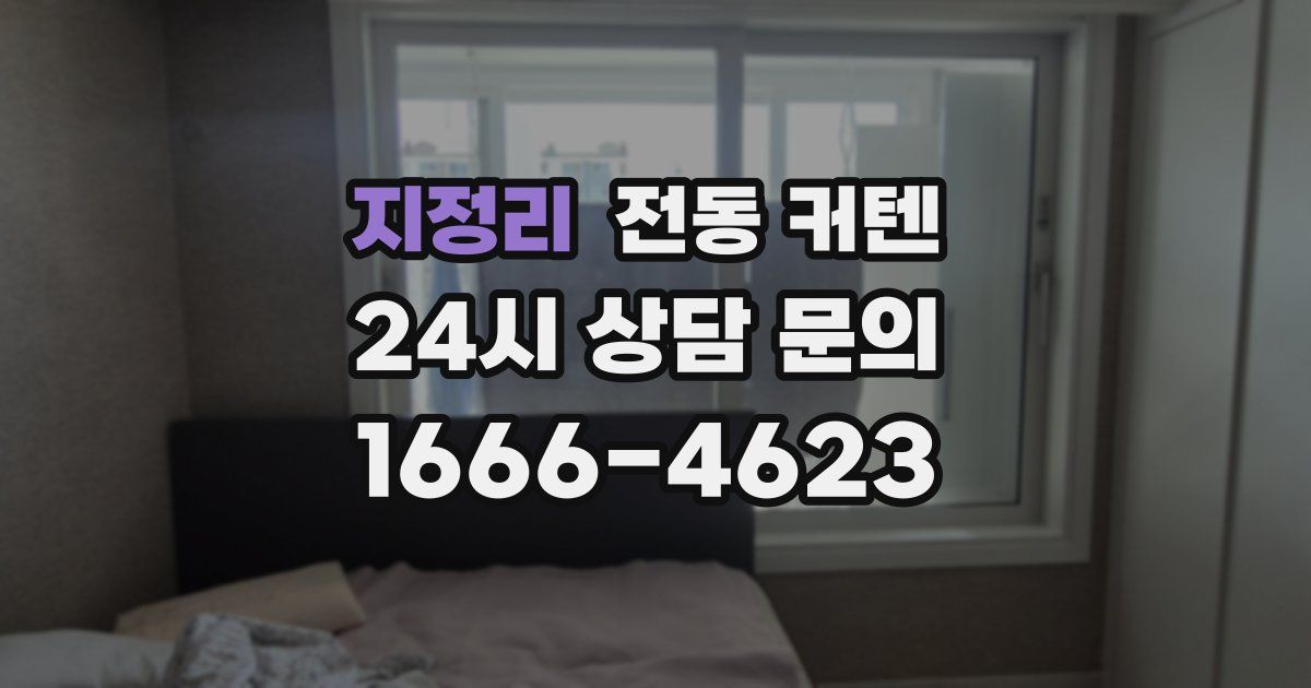 지정리 전동 커텐