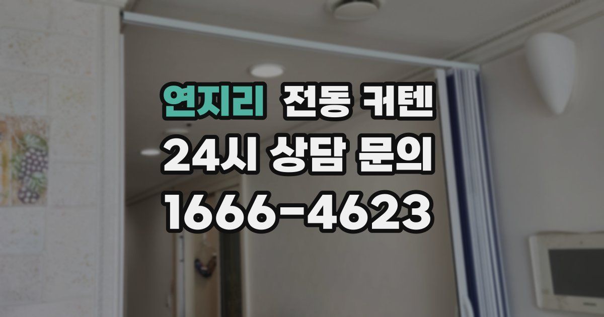연지리 전동 커텐