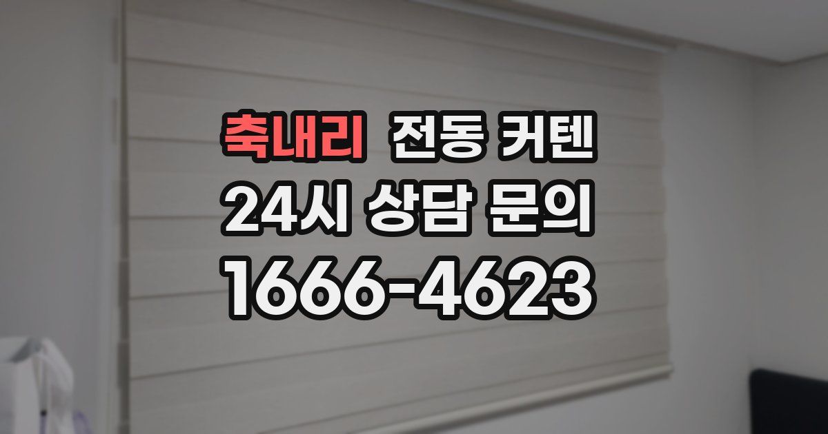 축내리 전동 커텐