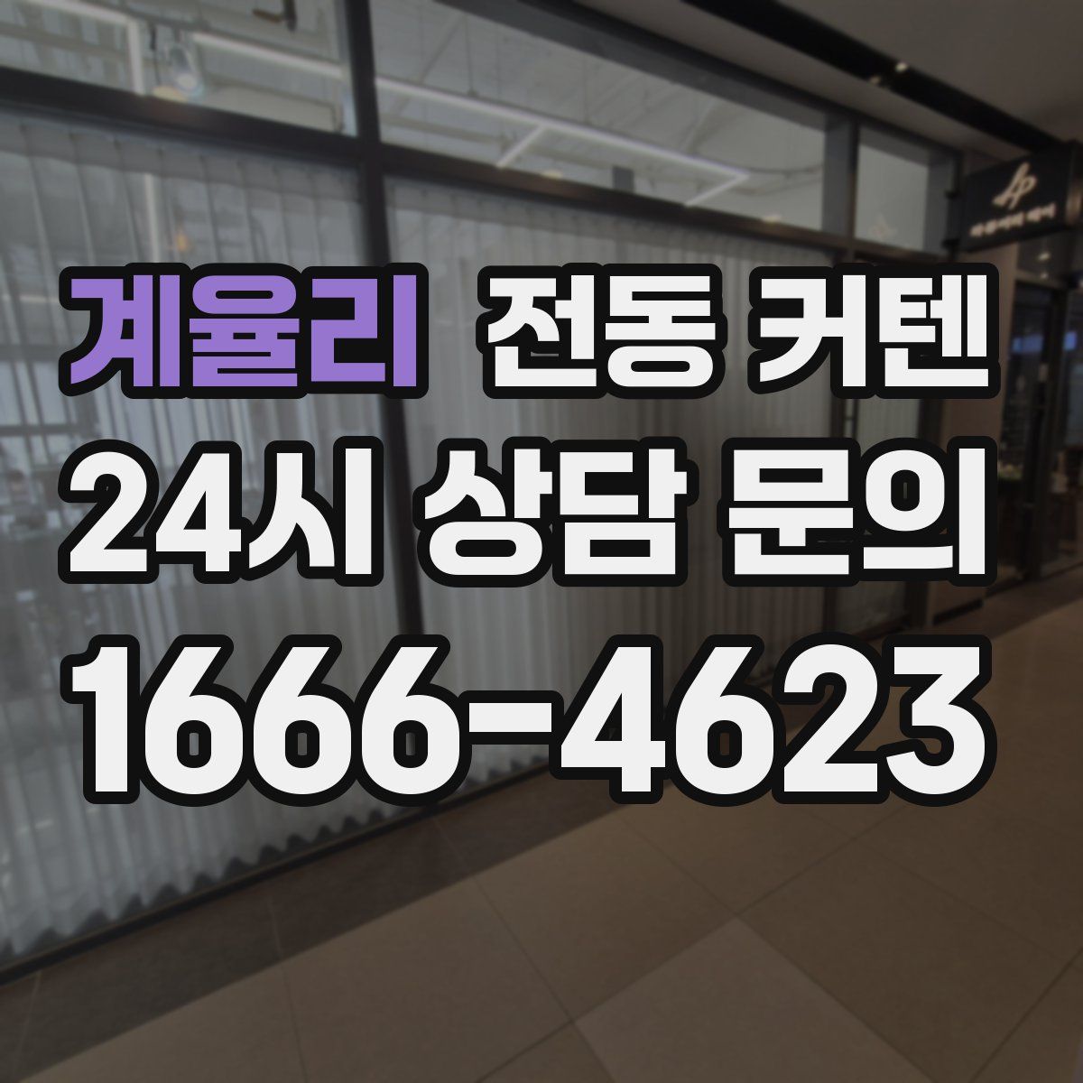 계율리 전동 커텐