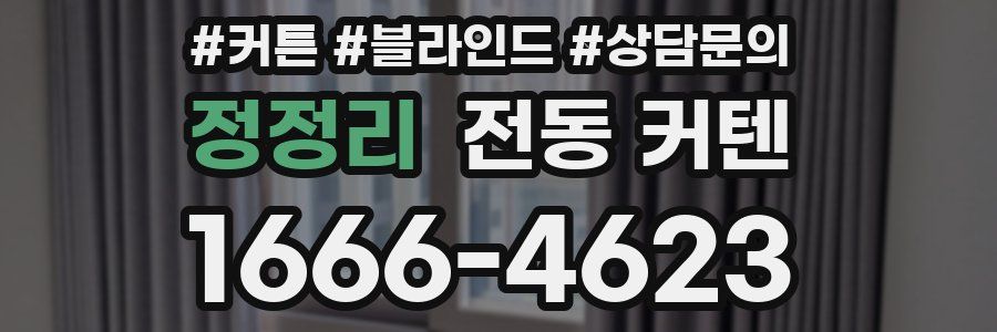 정정리 전동 커텐