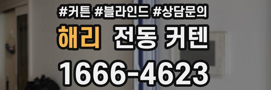 해리 전동 커텐