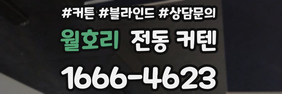 월호리 전동 커텐