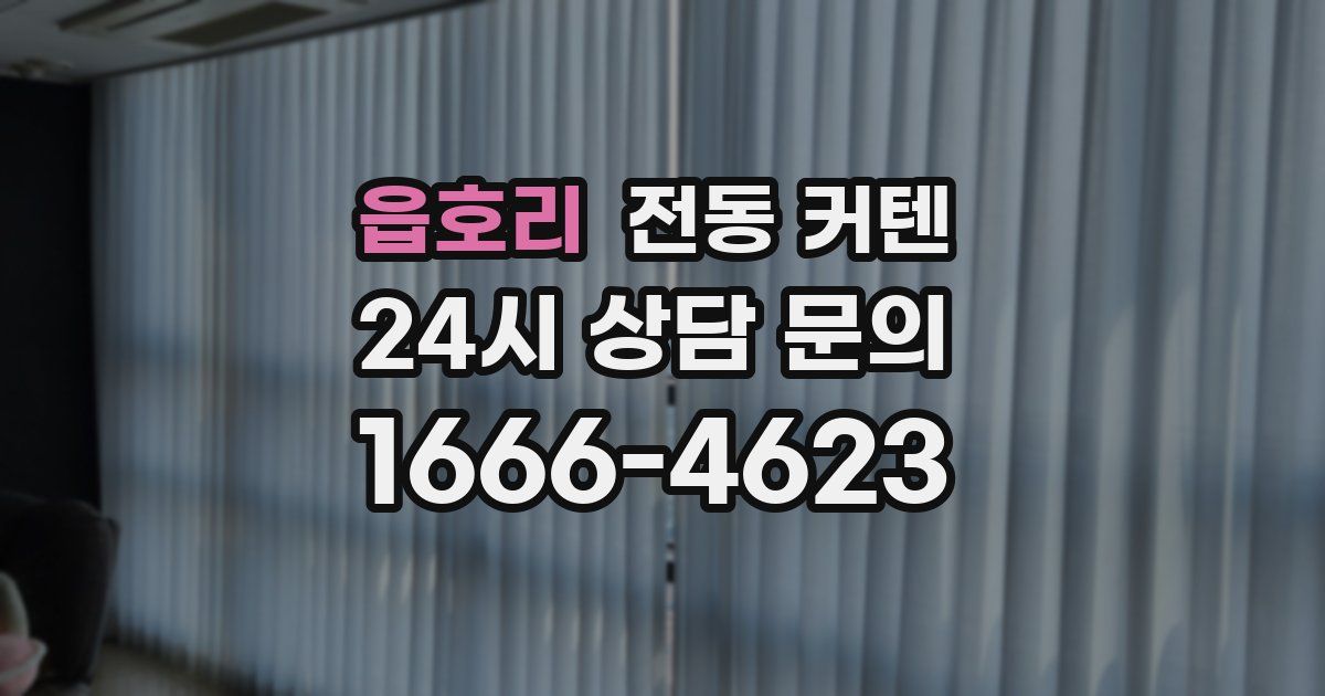 읍호리 전동 커텐