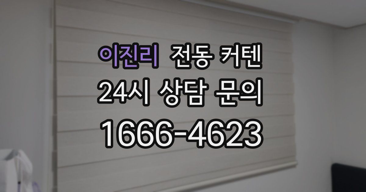 이진리 전동 커텐