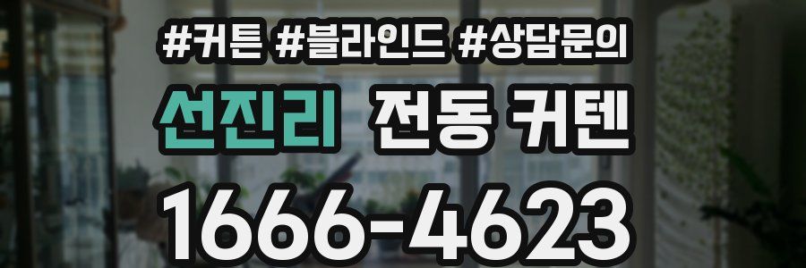 선진리 전동 커텐