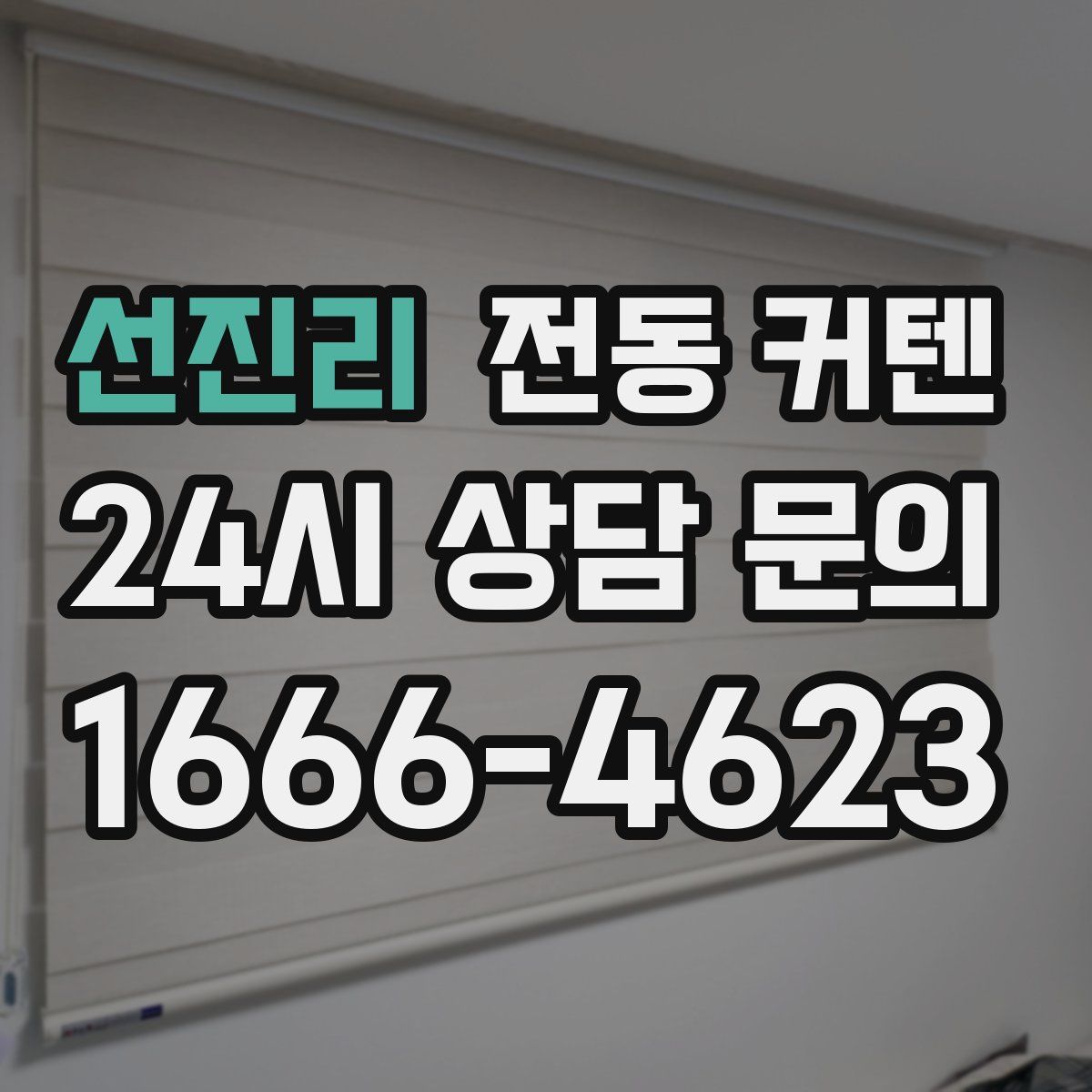 선진리 전동 커텐