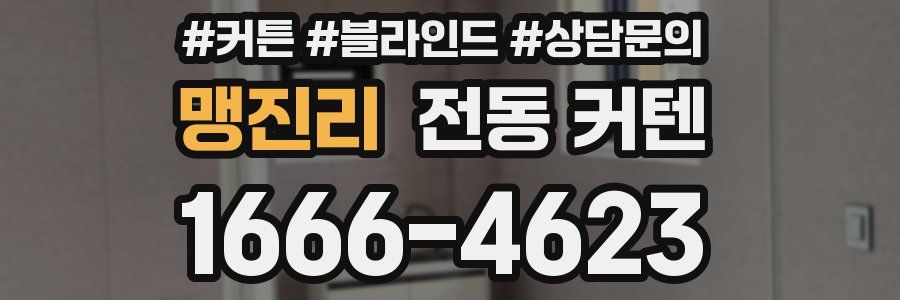 맹진리 전동 커텐