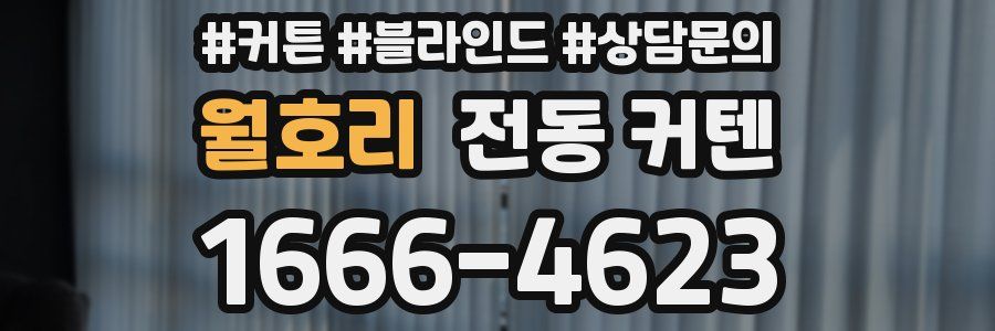 월호리 전동 커텐