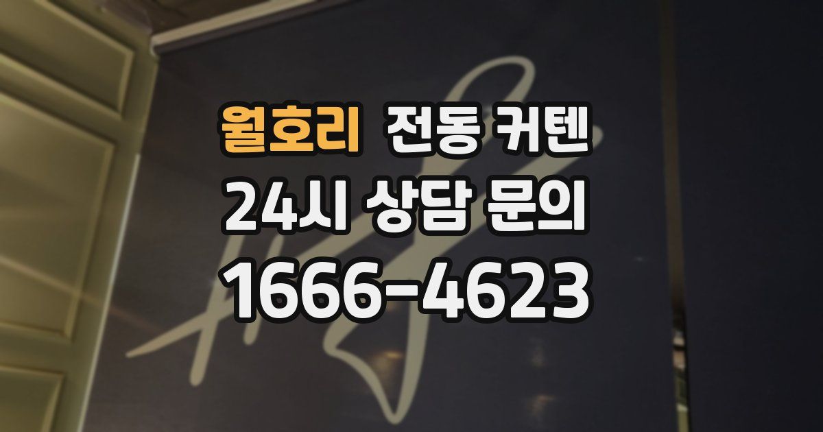 월호리 전동 커텐