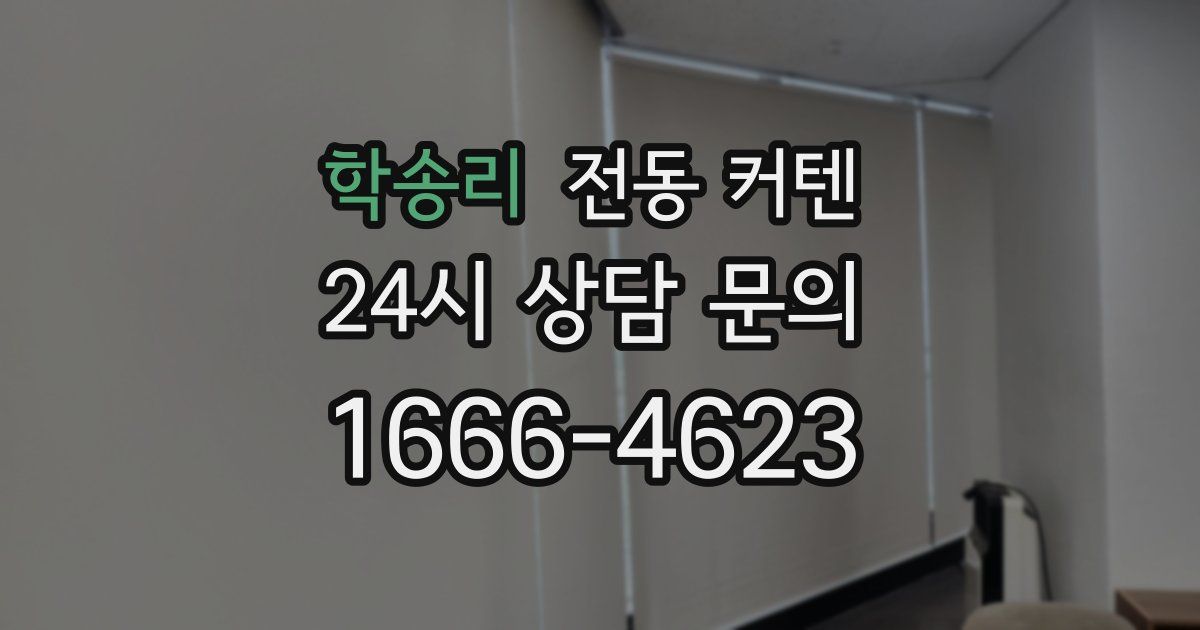 학송리 전동 커텐