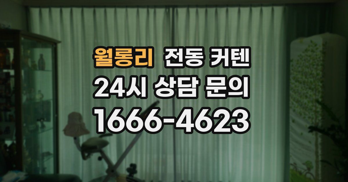 월롱리 전동 커텐