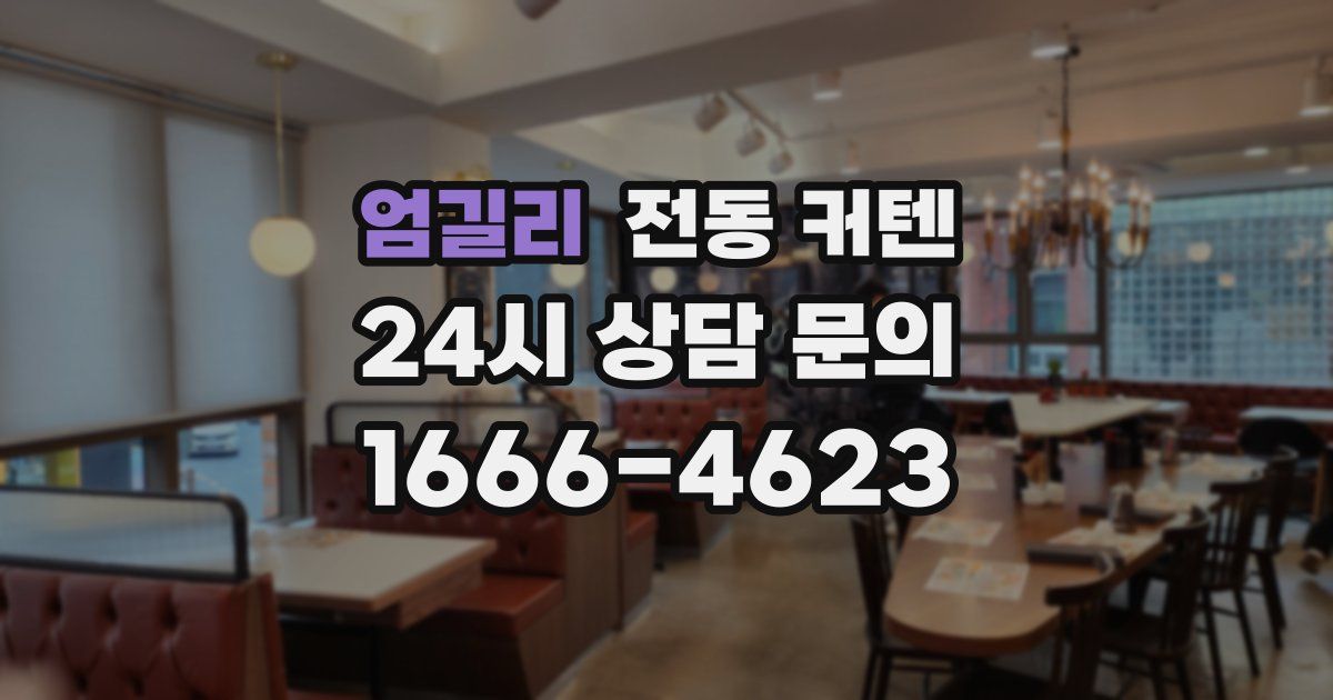 엄길리 전동 커텐