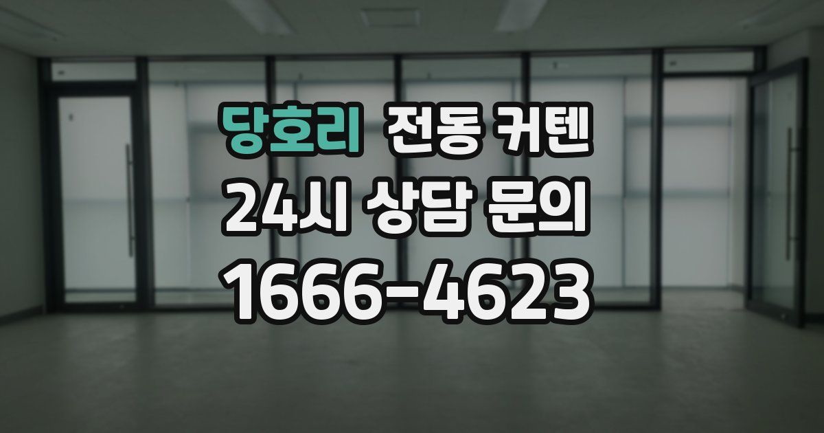 당호리 전동 커텐