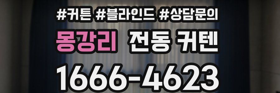 몽강리 전동 커텐
