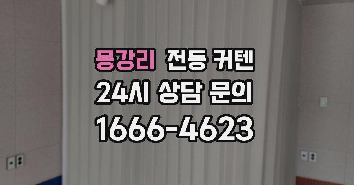 몽강리 전동 커텐