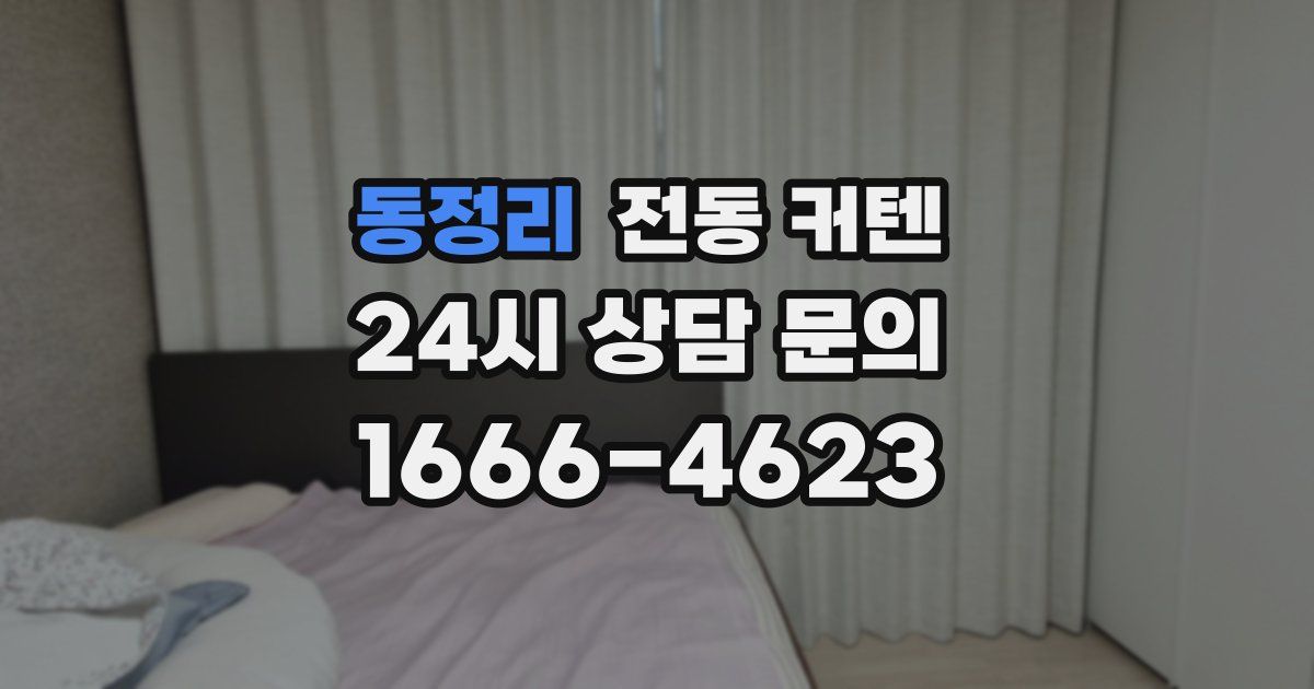 동정리 전동 커텐