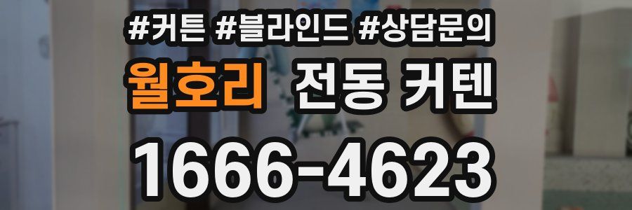 월호리 전동 커텐