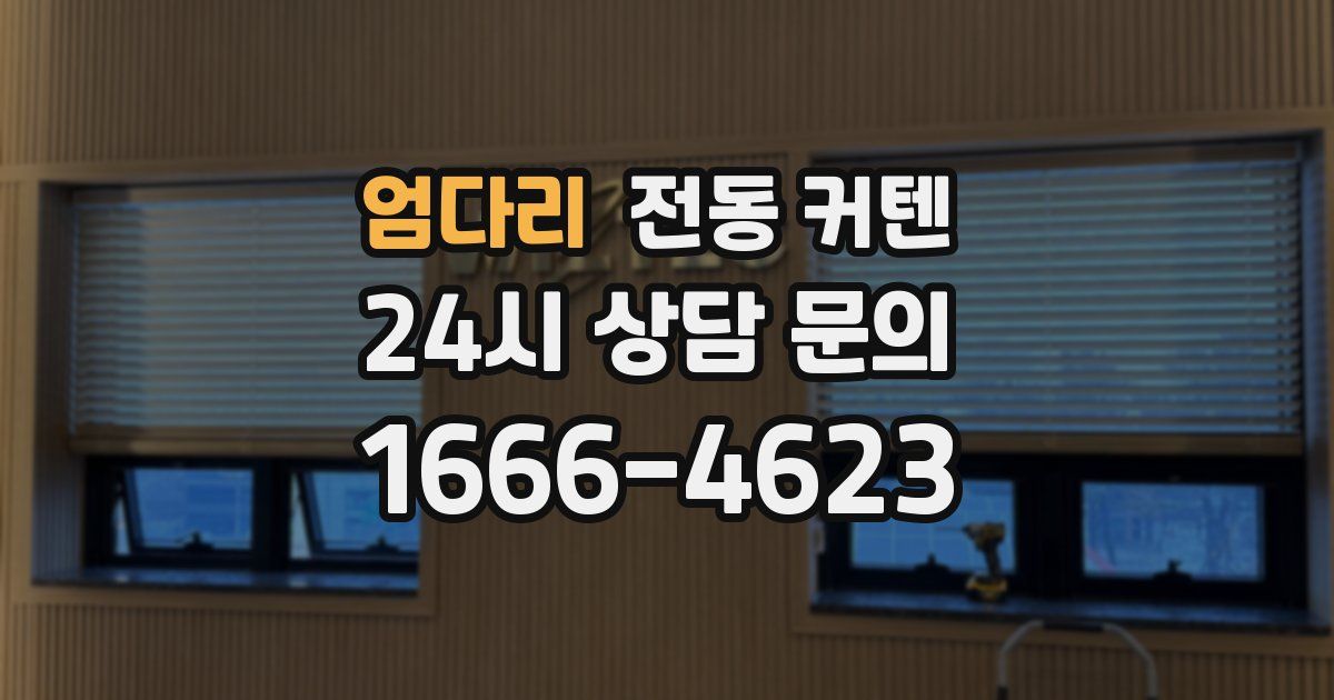 엄다리 전동 커텐