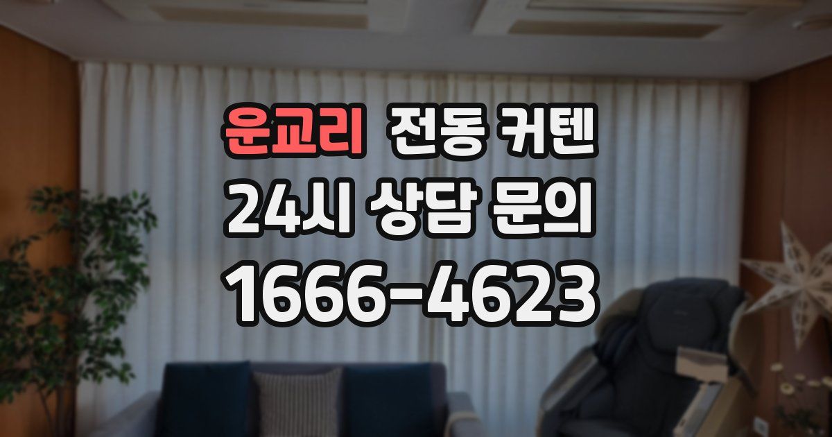 운교리 전동 커텐