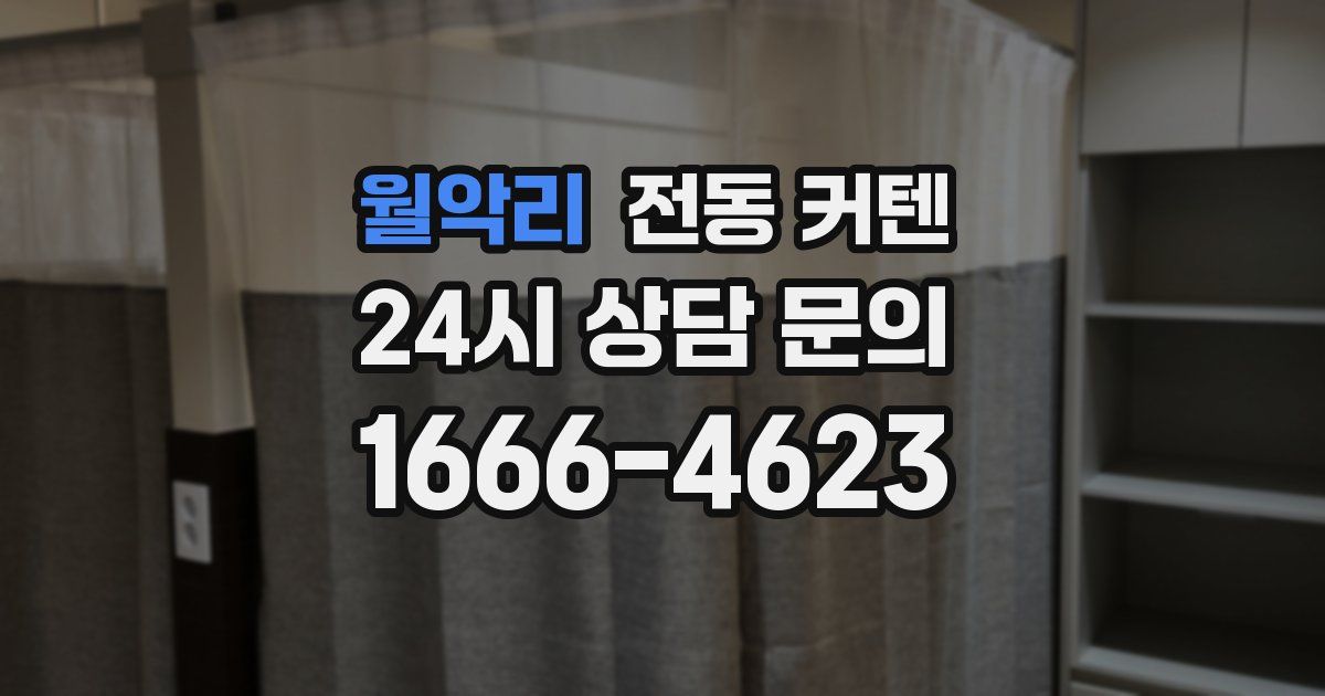 월악리 전동 커텐