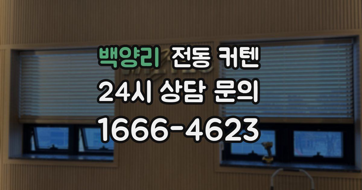 백양리 전동 커텐