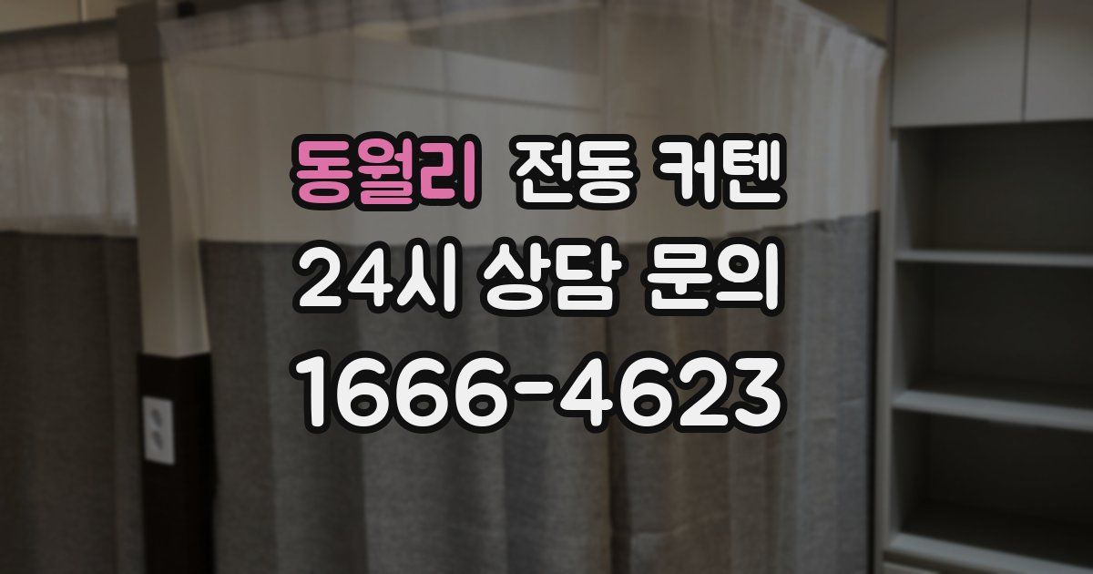 동월리 전동 커텐