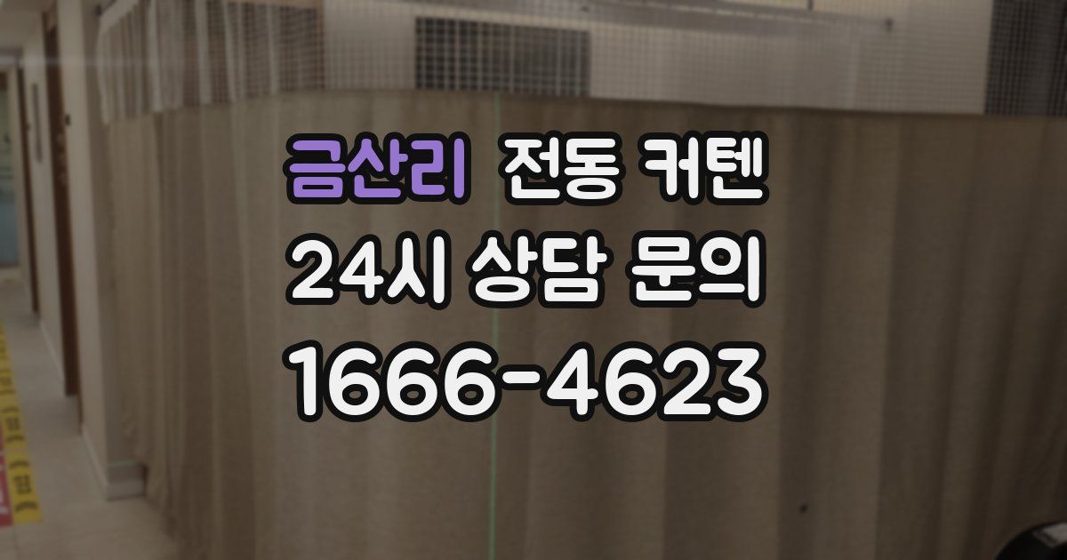 금산리 전동 커텐