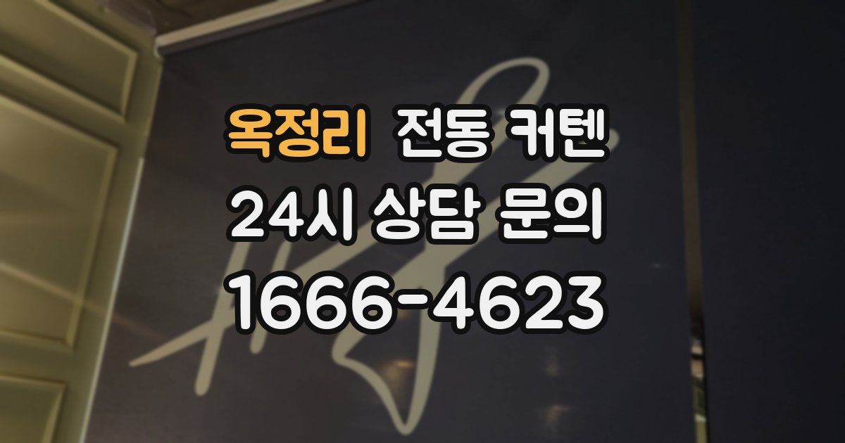 옥정리 전동 커텐