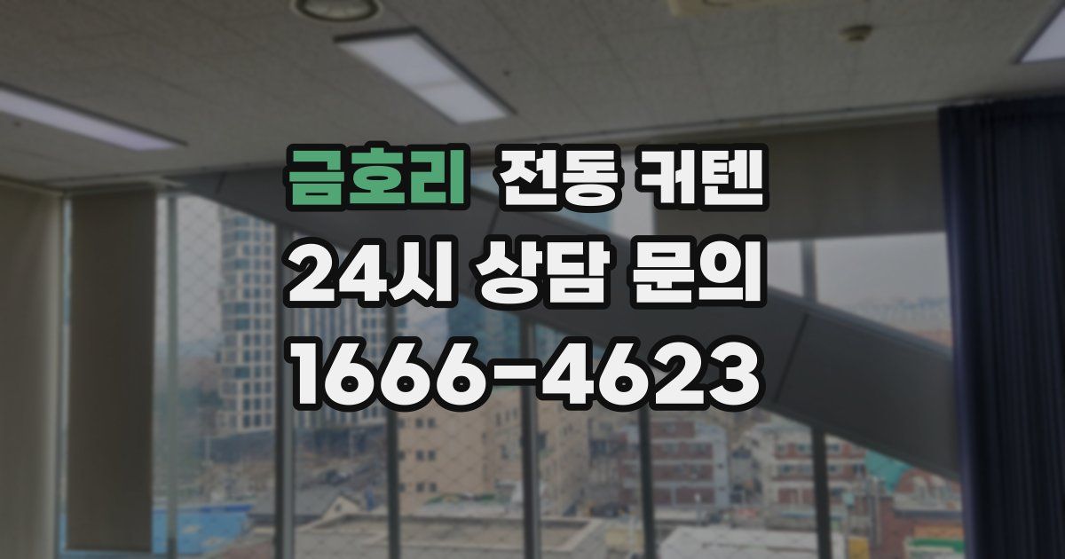 금호리 전동 커텐
