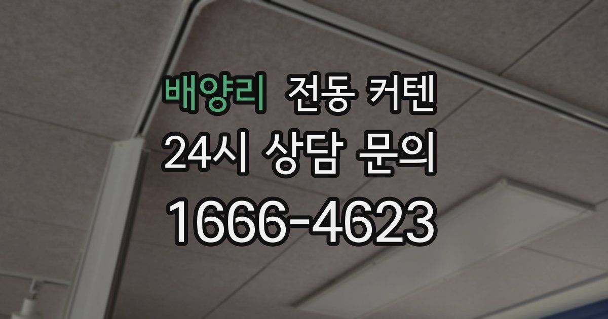 배양리 전동 커텐