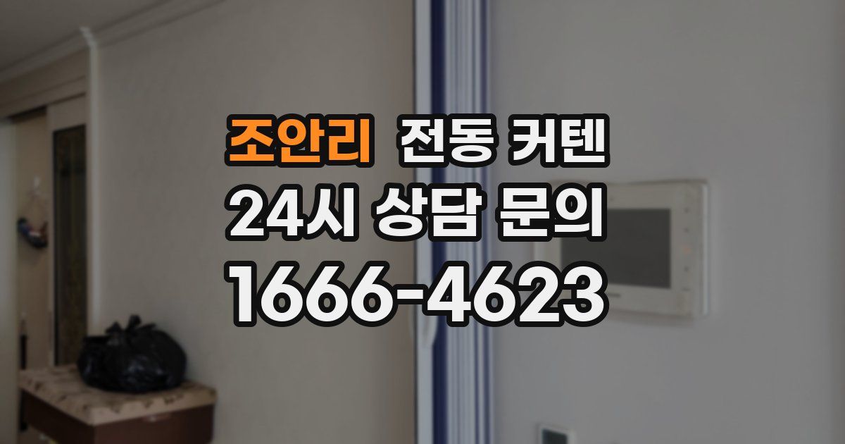 조안리 전동 커텐