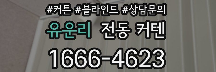 유운리 전동 커텐