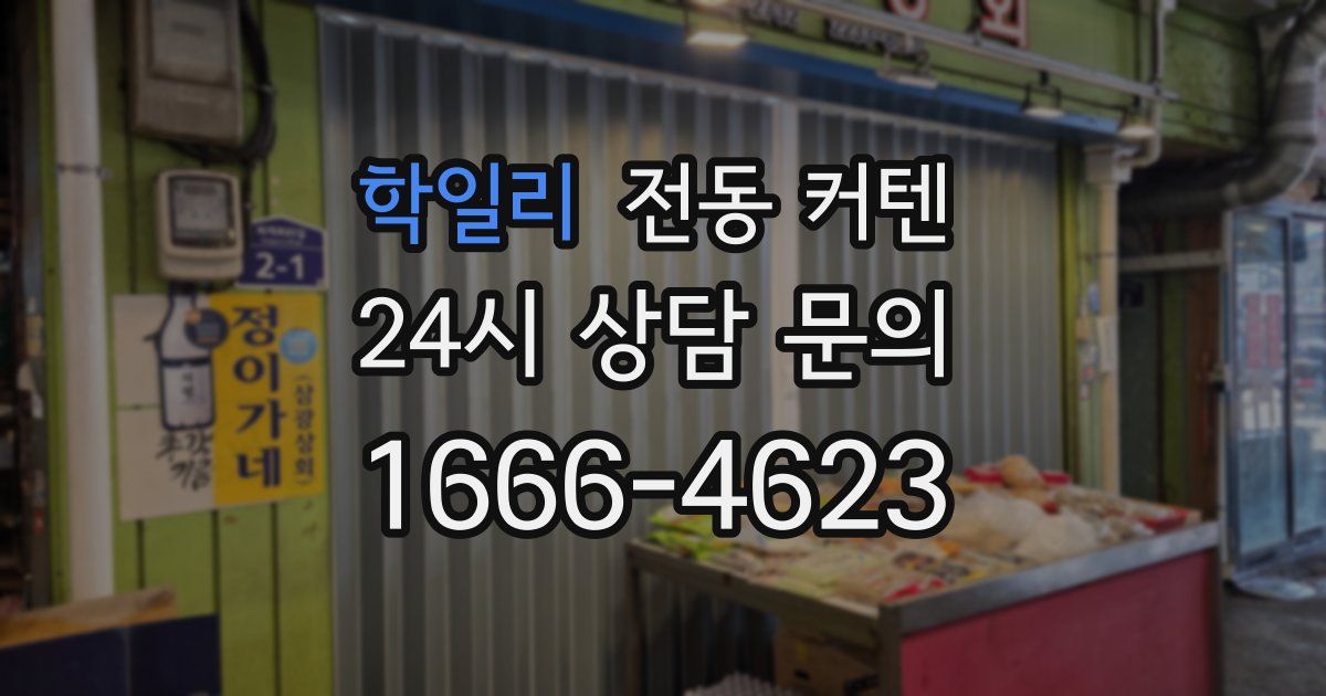 학일리 전동 커텐