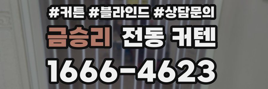 금승리 전동 커텐