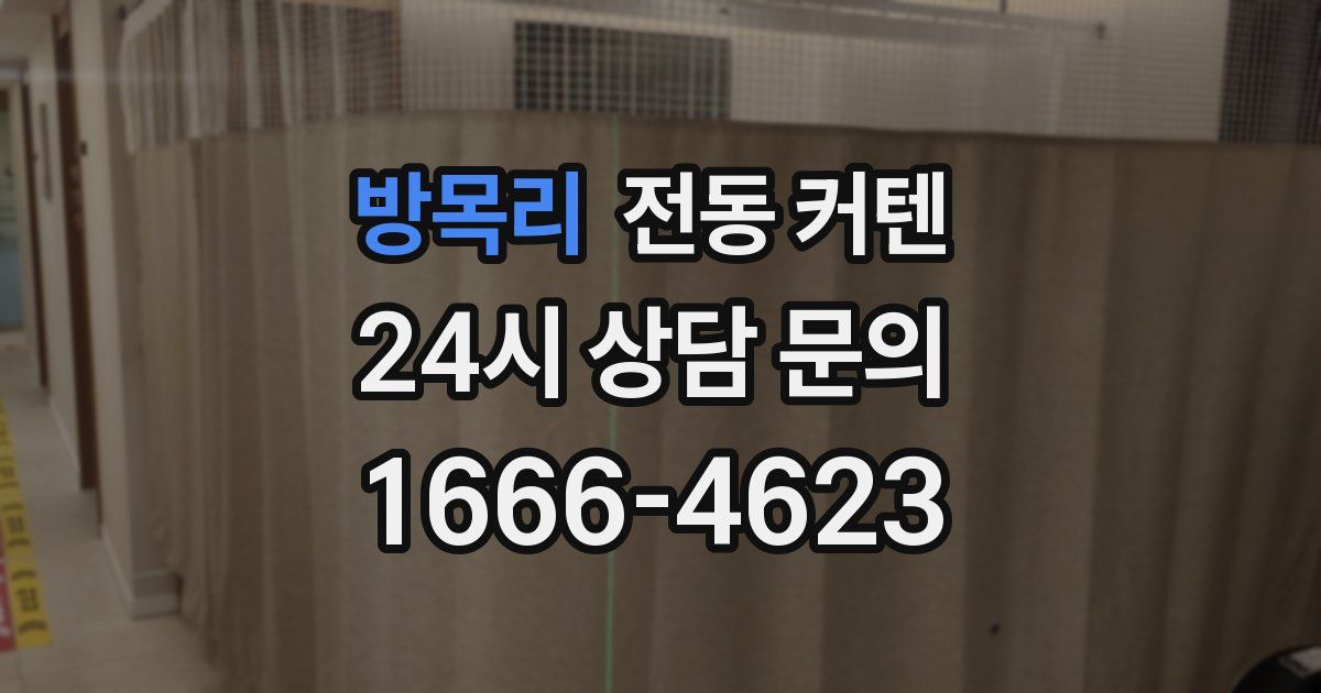 방목리 전동 커텐