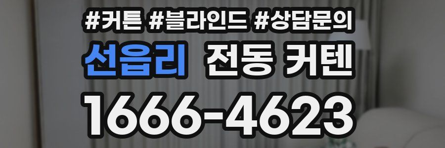 선읍리 전동 커텐