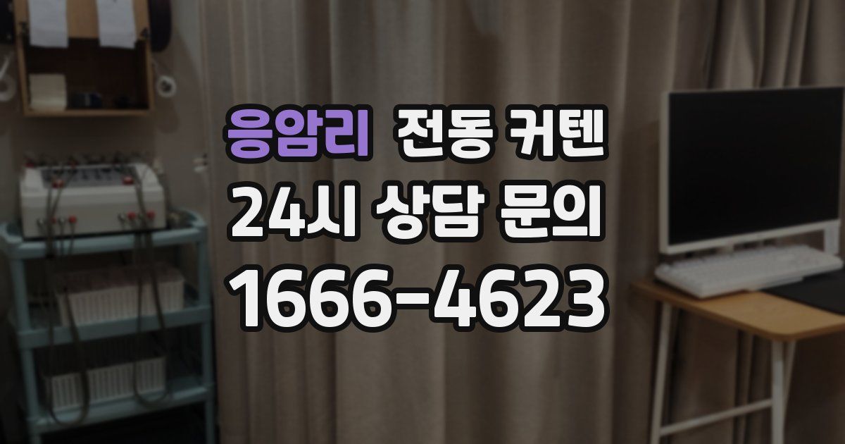 응암리 전동 커텐