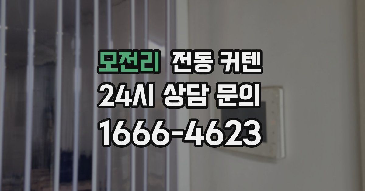 모전리 전동 커텐