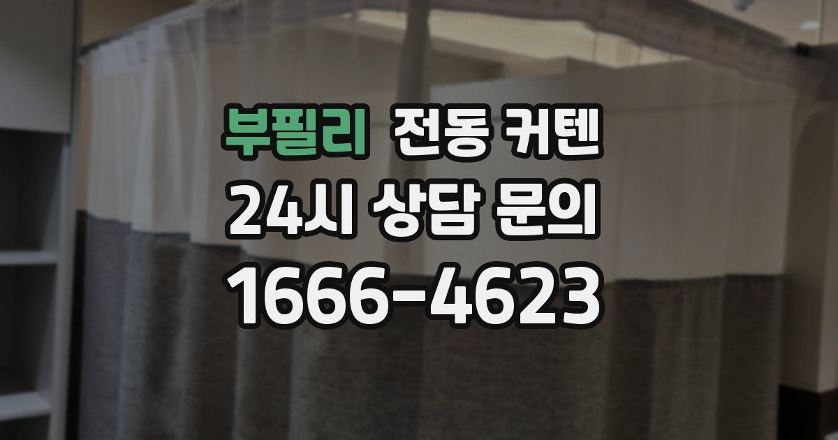 부필리 전동 커텐