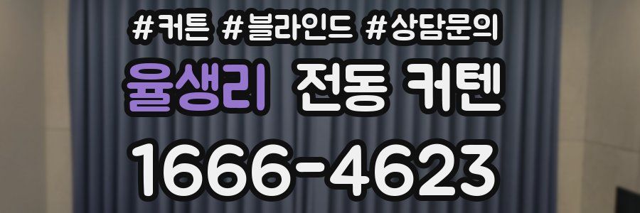 율생리 전동 커텐