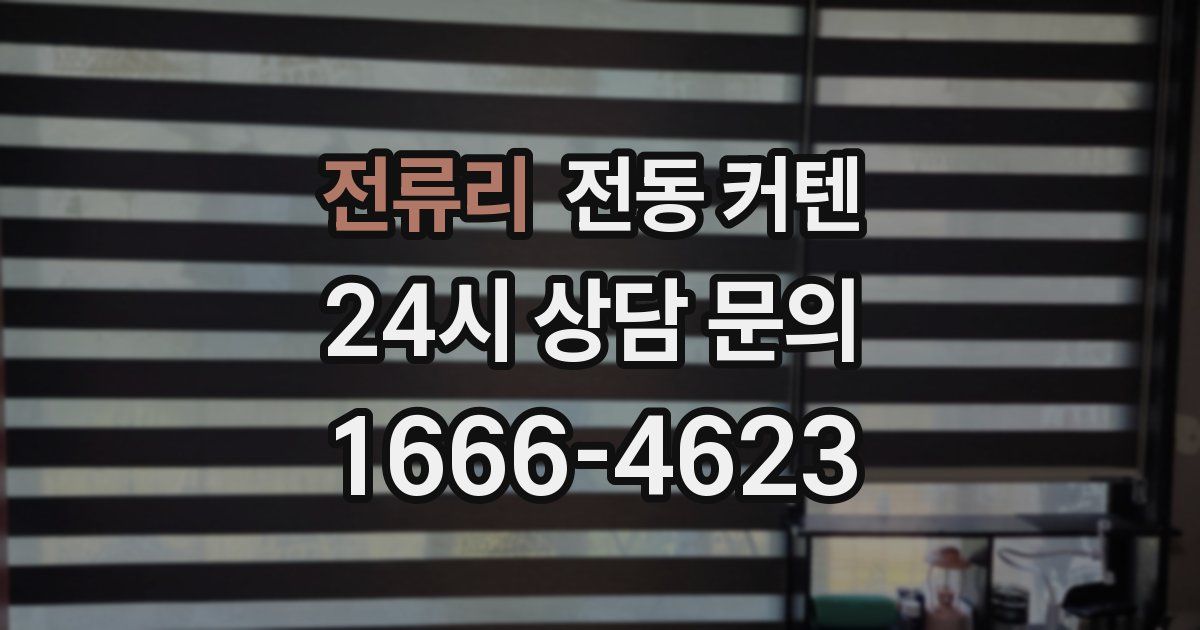 전류리 전동 커텐