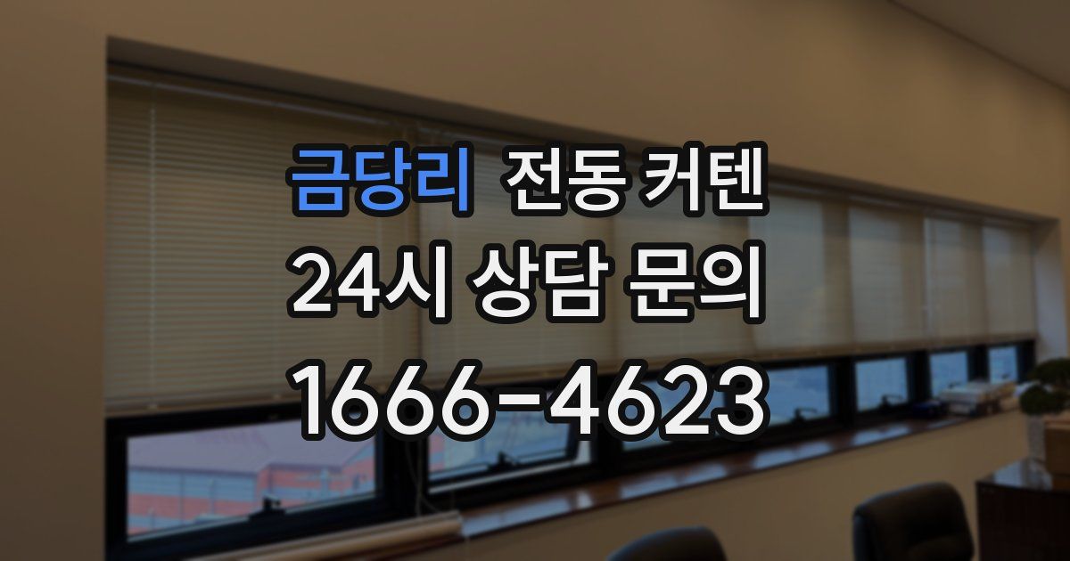 금당리 전동 커텐