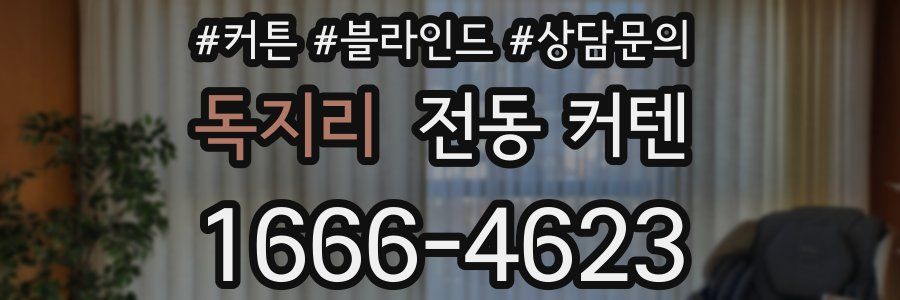 독지리 전동 커텐