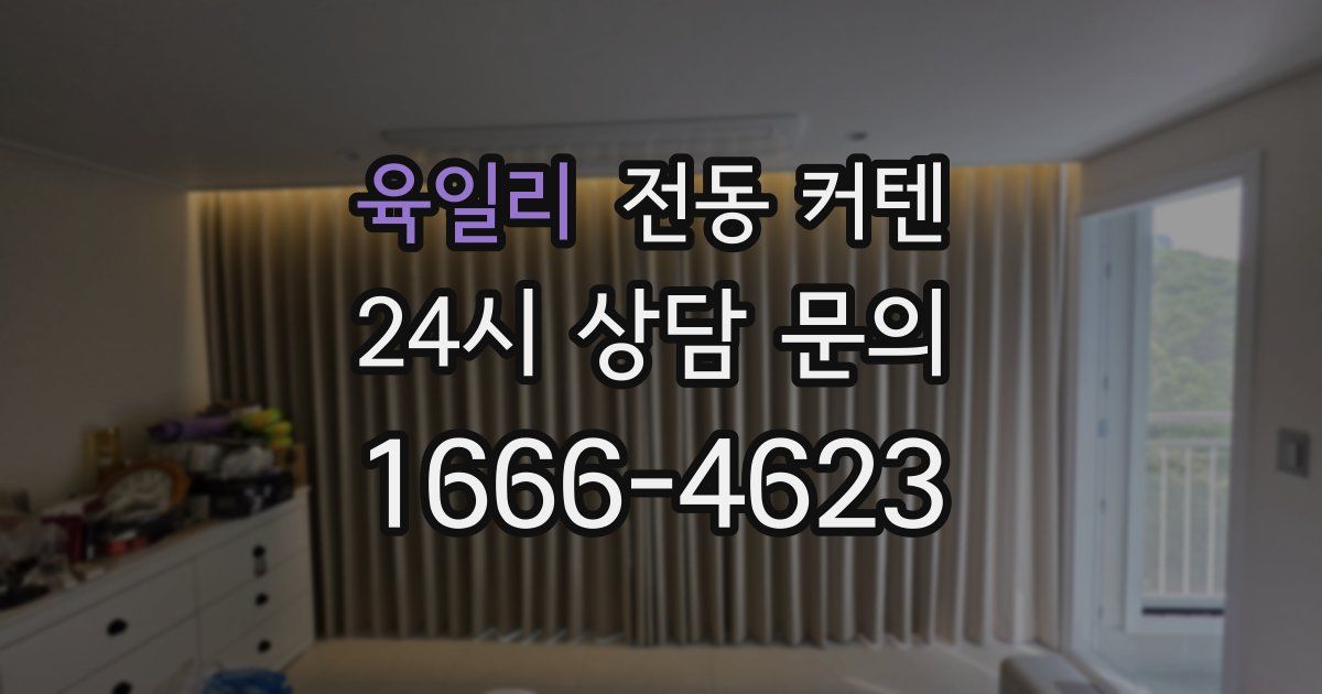 육일리 전동 커텐