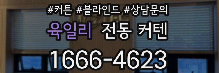 육일리 전동 커텐