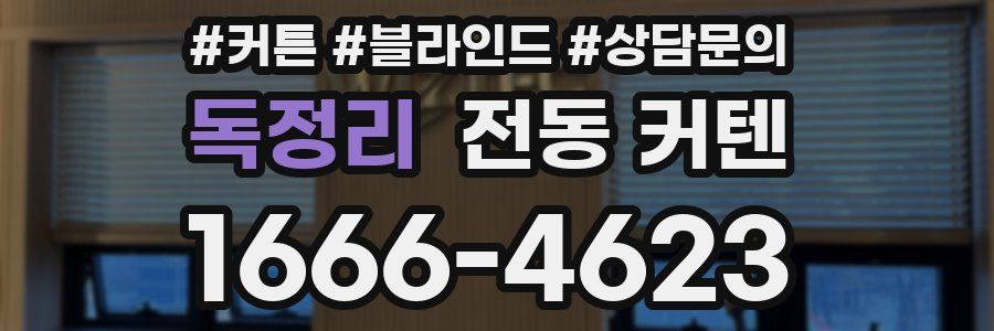 독정리 전동 커텐